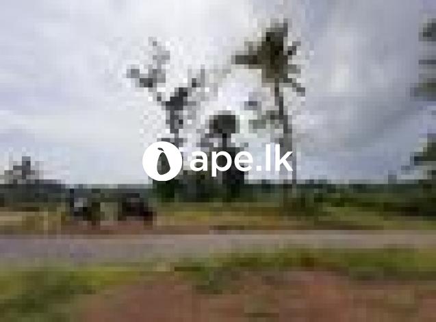 Land for Sale in Ahungalla